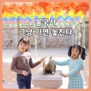 불국사 | 불국사 아이와 후기 | 개화 상황 · 주차 꿀팁 · 복돼지 찾기 미션