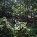 창원 내동패총 이미지