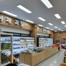 성연푸드 이미지