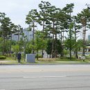 교하체육공원 이미지