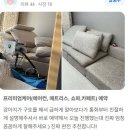 삼성레미안세탁 | 반포르엘 까사미아캄포소파 에 생긴 강아지구토 얼룩제거(실제후기)