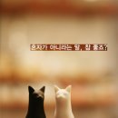 대양천 이미지