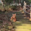 지내목장 | 9월 일상 -1 | 여름의 끝자락 즐기기