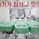 모르나 이미지