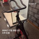 [주간일기] 2024년 11월 나머지 일상(아로즈헤어퍼퓸,후쿠오카여행,대전신세계백화점,샤넬레베주쿠션,대...