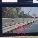 동훈모터스 이미지