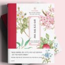 앤의정원 이미지