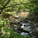 원탕민박 이미지