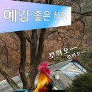 빵심이네 이미지