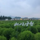 주식회사 코랩 | 대한신경외과의사회 추계 연수강좌_주식회사 코랩
