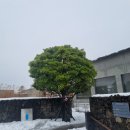 제주 NO*(콘센트+와이파이존) 카페 블루 보틀😭실망후기