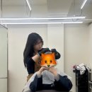 쥬디미용실 | 낙성대 미용실 헤어룸손끗 애쉬 톤다운 염색 후기
