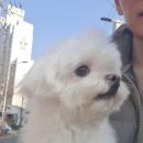 밥도둑게장 이미지