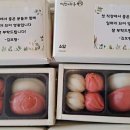 떡보의하루중구