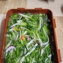 감치농장 Daum카페