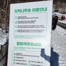 별바라기 공원내 | [겨울 강원도 여행 1일차] 홍천 양지말 화로구이➡️인제 자작나무 숲➡️속초 중앙시장