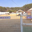 나정650 | 청주 애견동반 멍글멍글펫글램핑 넓은 운동장 목줄 해방!