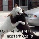 복 - 서구 대영로 37 | 복