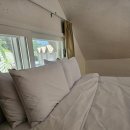 스테이ㅎ 이미지