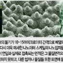 광택나라 - 서산시 동서1로 152-19 | 광택나라