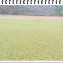 백련낚시터 이미지