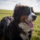 신세계동물병원 이미지