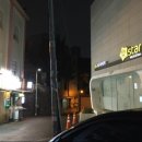 다미야식 이미지