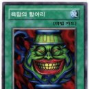 게코집