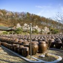 금강보행교 3 이미지