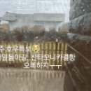 하모로민박 이미지