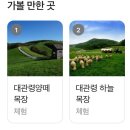 복목장 | [강원도 평창] 2026 대관령 눈꽃축제 내돈내산 후기(주차, 할인, 운영시간 꿀팁)