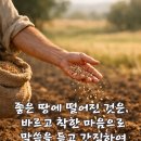 2026-09-19연중 제24주간 토요일＜좋은 땅에 떨어진 것은, 말씀을 간직하여 인내로써 열매를 맺는 사람들이다.＞ 이미지