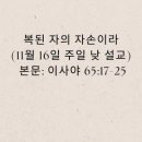 복된 자의 자손이라(11월 16일 추수감사절 설교) 이미지