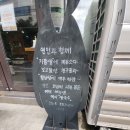 포몬스 티스토리