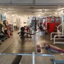 머슬헬프 이미지