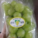 은자 농장 이미지