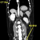 강내동물병원 이미지