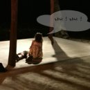 브리즈아일랜드