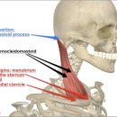 강동본한의원 이미지