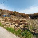 산아래농장 이미지