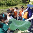 북청물장수 이미지