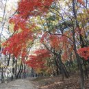 김포시청-장릉입구 이미지