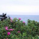 나곡바다낚시공원 이미지