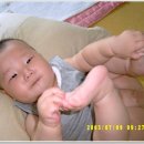 은현고추 이미지