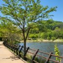 신씨네마을 이미지