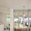 라이프트리 이미지