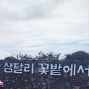 남원읍사무소[남] 네이버블로그