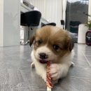 복미헤어