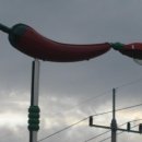 칠갑산 도림온천 이미지