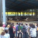 금와농장 이미지